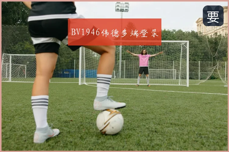 BV1946伟德多端登录